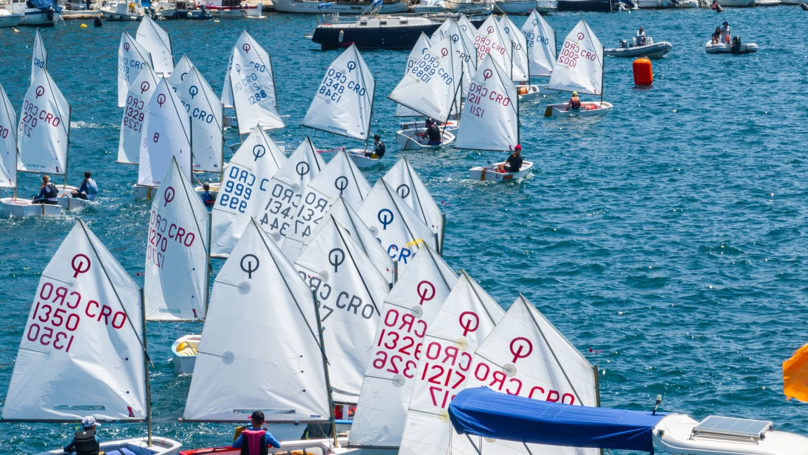 Regata 64. MDF •「Optimist」