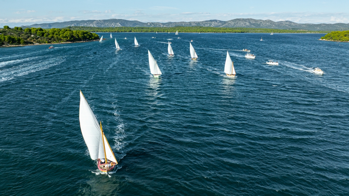 28. Latinsko idro •「Gajete」